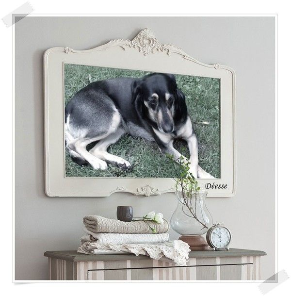 Image du Blog holaf44.centerblog.net