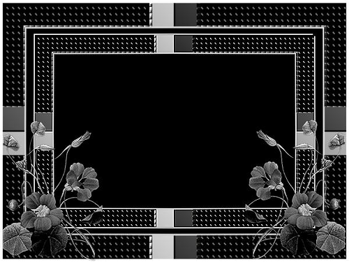 TÉLÉCHARGER BRUSH POUR PHOTOFILTRE GRATUIT BRUSH POUR PHOTOFILTRE GRATUIT