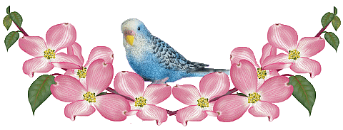 Barre de séparation oiseau et fleurs pour vos créations