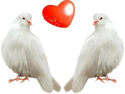35_1.png