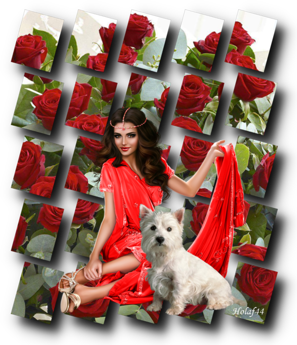 Image du Blog holaf44.centerblog.net