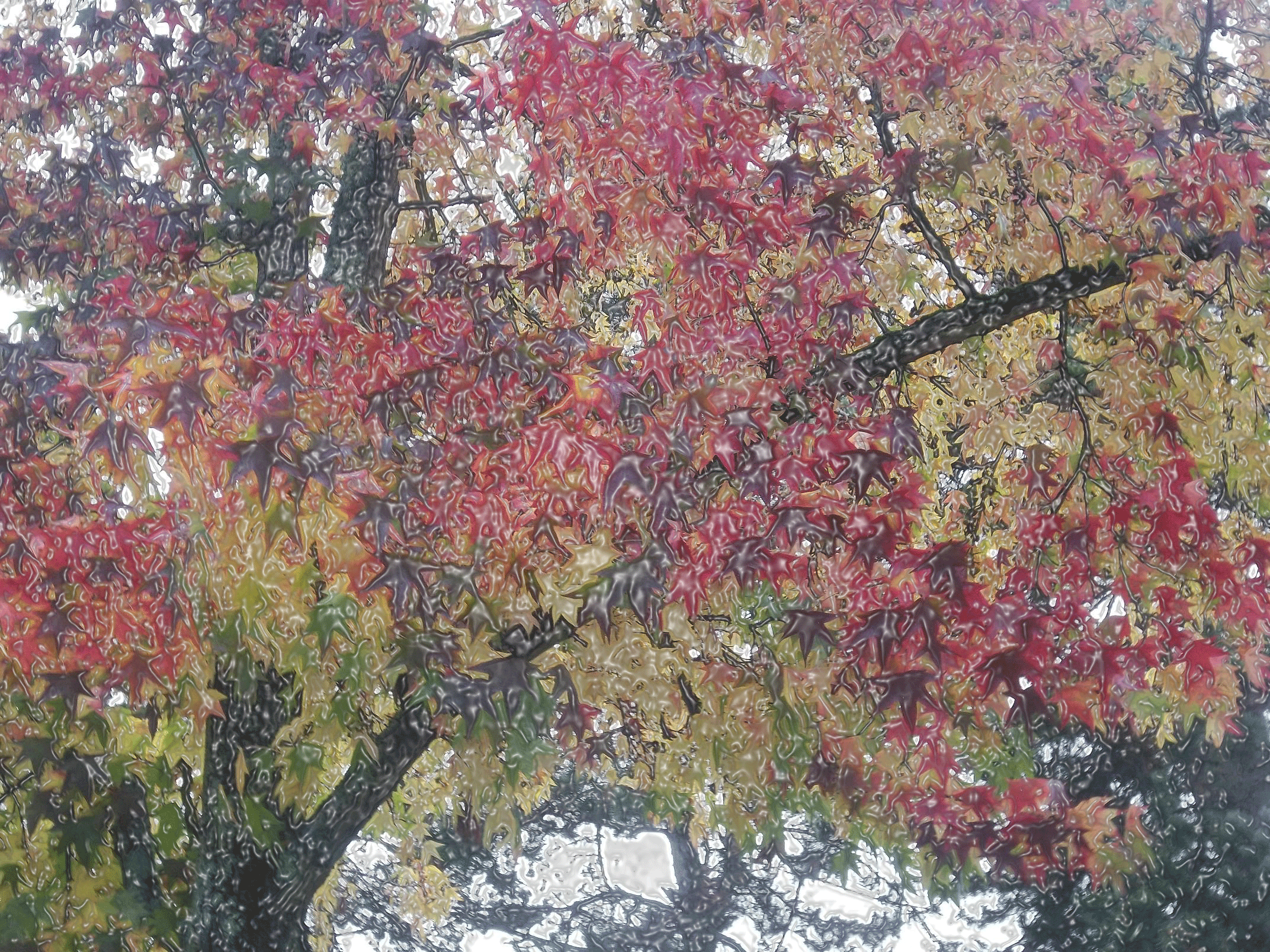 5850d8f4.gif