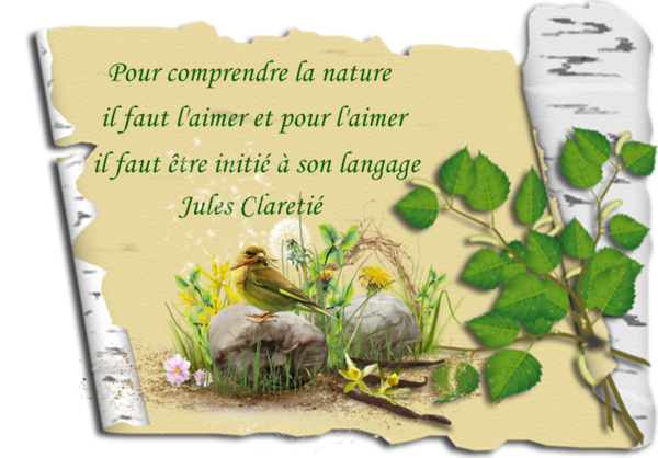 La nature est belle