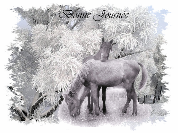 En hiver la terre pleure poème