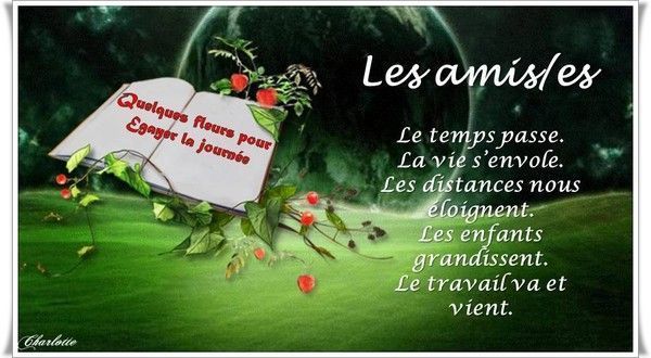 Magnifique PPS sur l'amitié