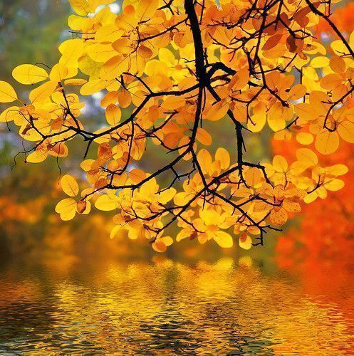 RÃ©sultat de recherche d'images pour "photo de paysages d'automne"