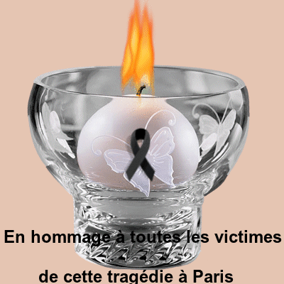 Hommage à toutes les victimes de cette tragédie à Paris