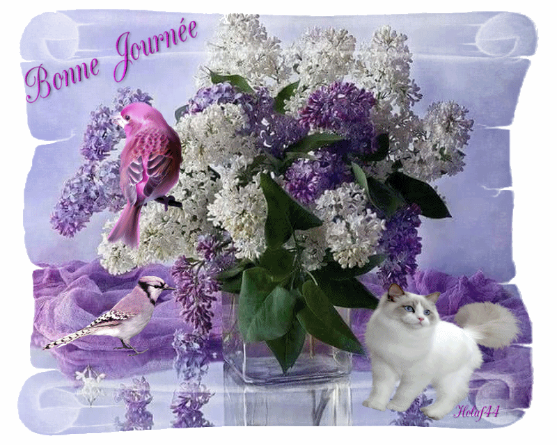 Image du Blog holaf44.centerblog.net