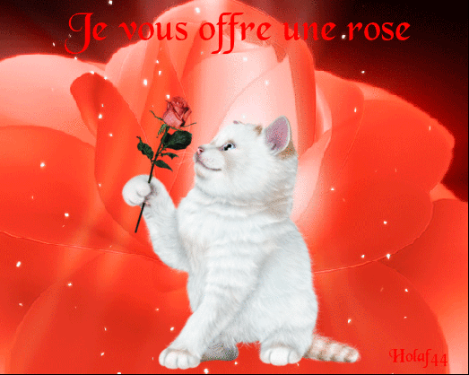 Image du Blog holaf44.centerblog.net