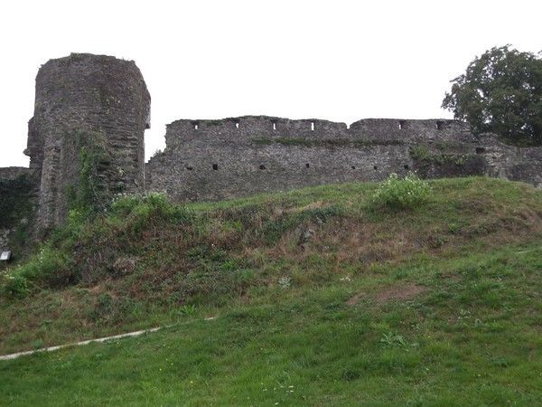chat loire atlantique