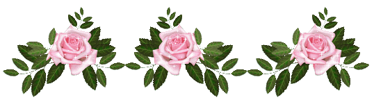 animation_9barre-de-roses