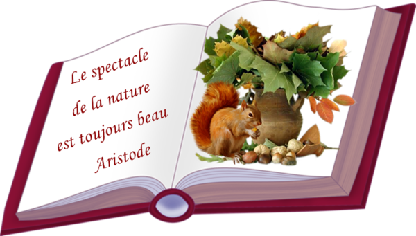 Citation sur la Nature