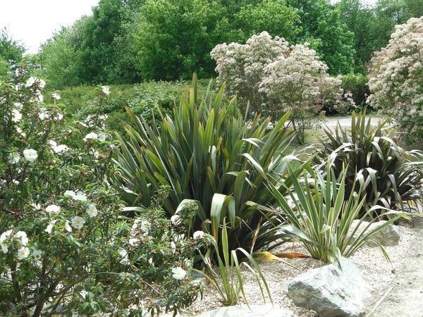 Les Jardins d'Océanis à Saint Nazaire ** Loire Atlantique **