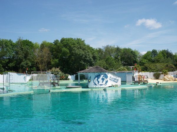 planete sauvage rencontre avec les dauphins