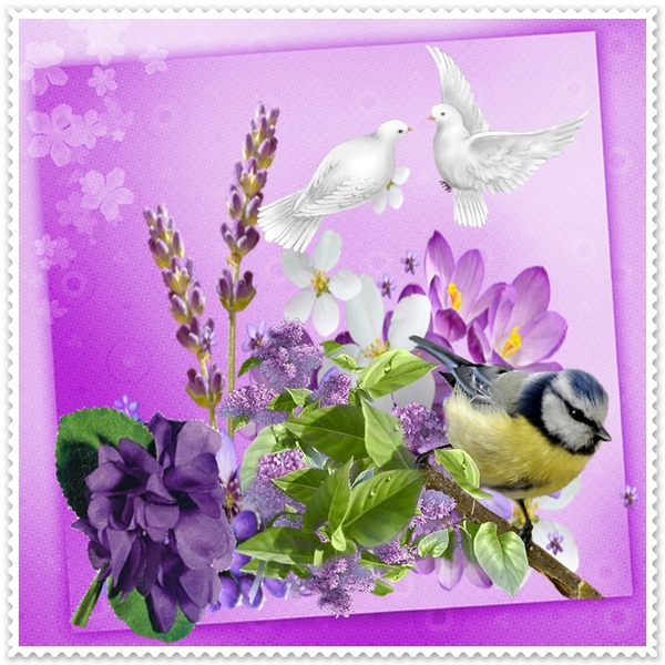La violette dans les prés verts beau poème