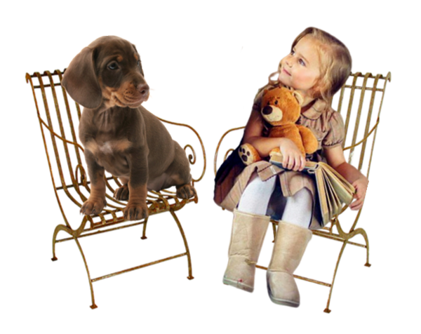 Jouet à Trainer Ancien Fillette Au Chien - Poupée Celluloïd Française SNF/SIC, Années 50