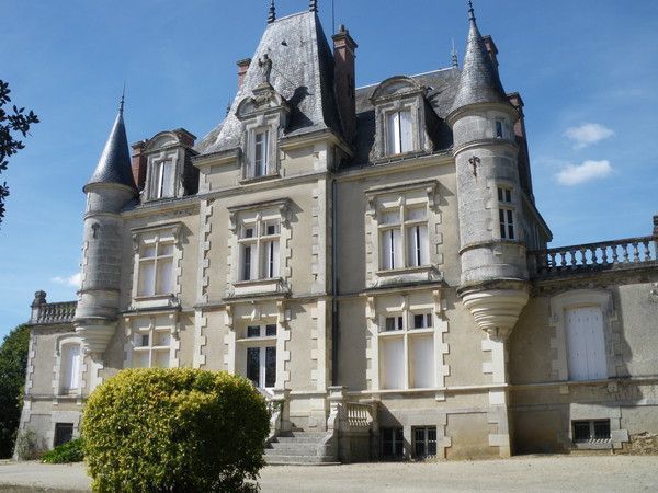 chateau a vendre rocheserviere