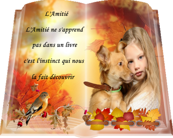 L'Amitié ne s'apprend pas dans un livre