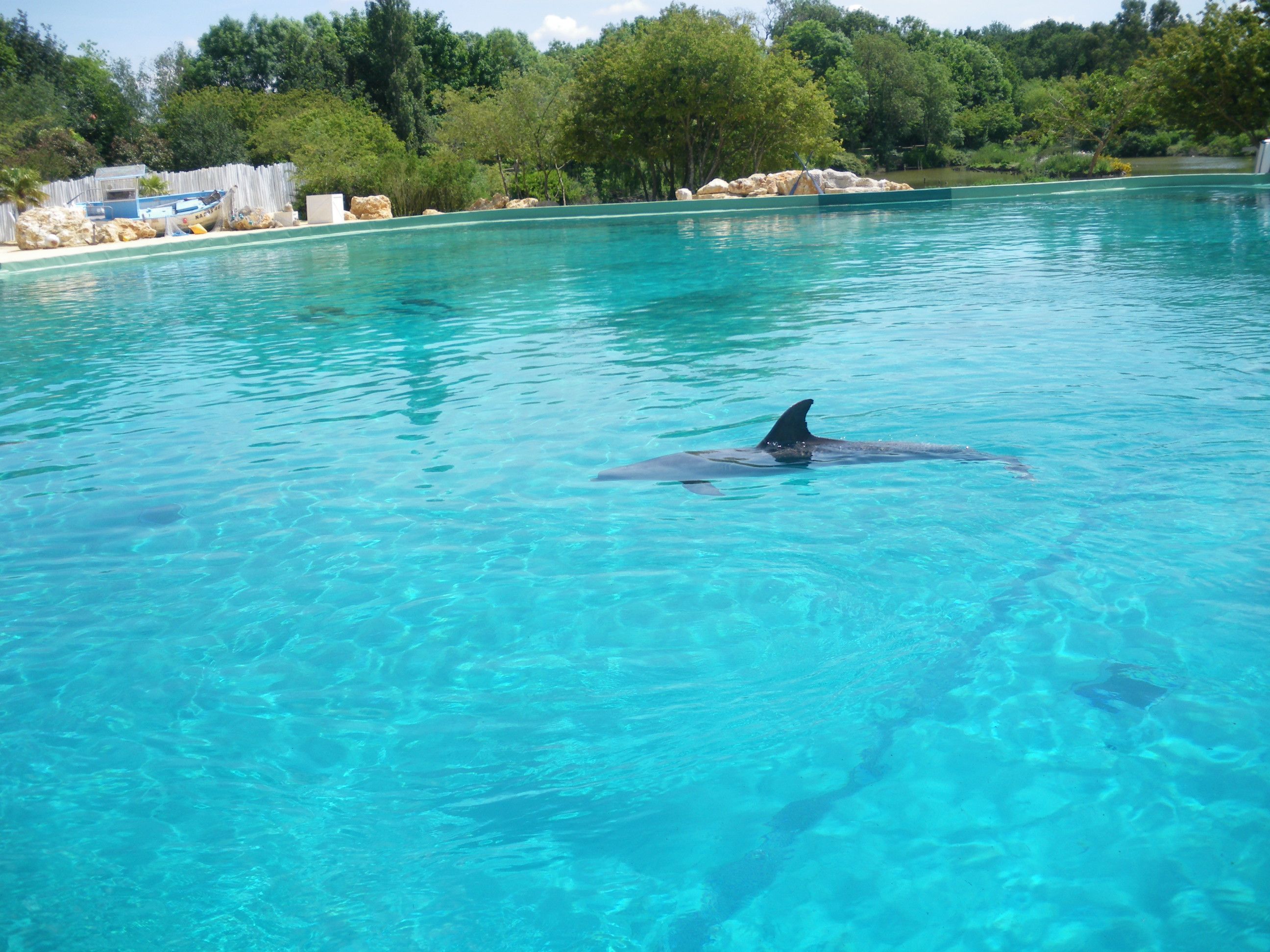 planete sauvage rencontre avec les dauphins