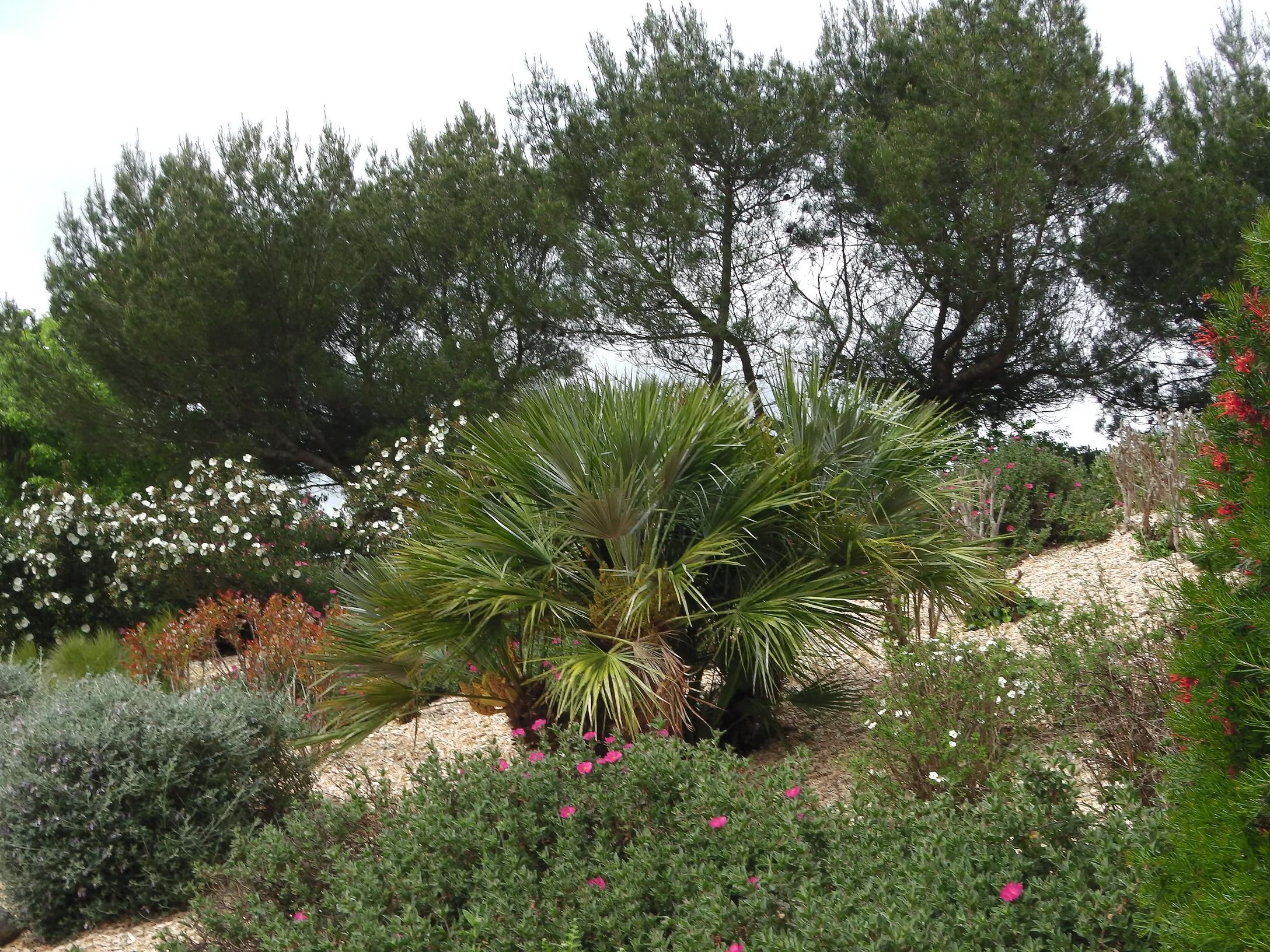 mes photos j oceanis s nazaire