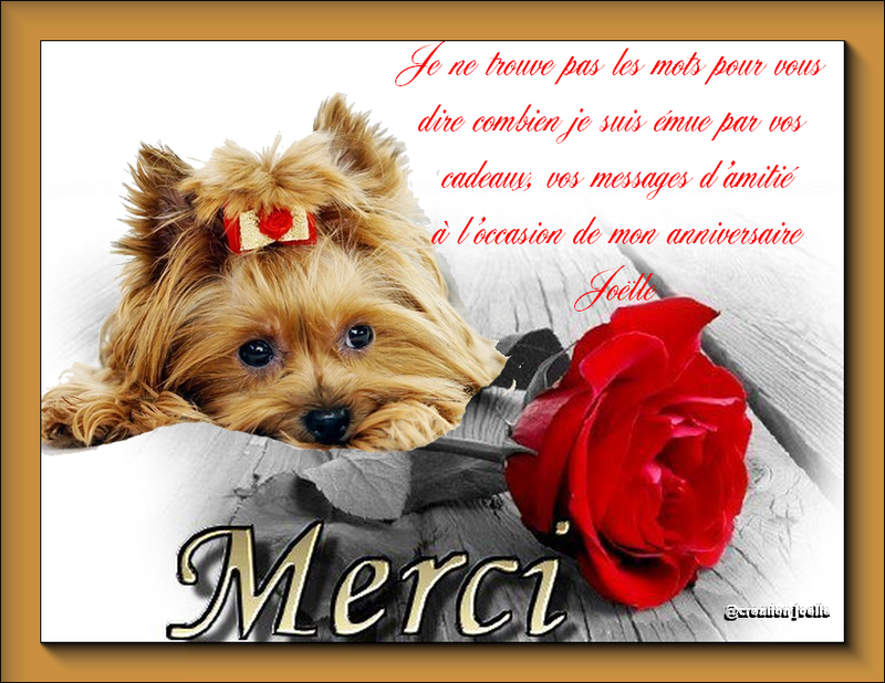 Merci A Toi Aussi En Anglais