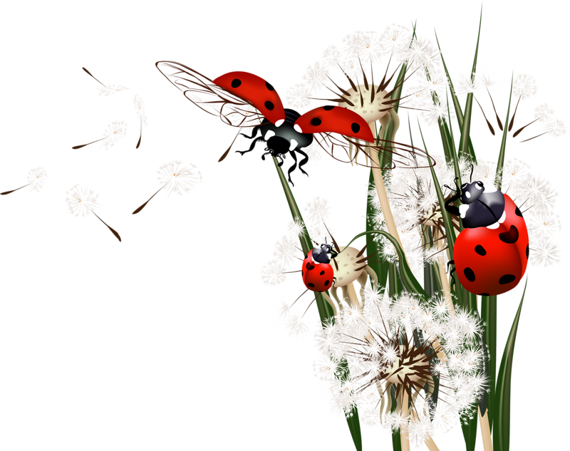 La Coccinelle, poème de Victor Hugo