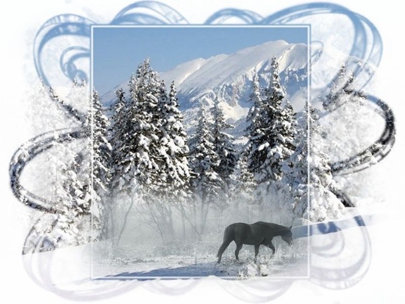 Au Beau Milieu Du Morne Hiver Poeme
