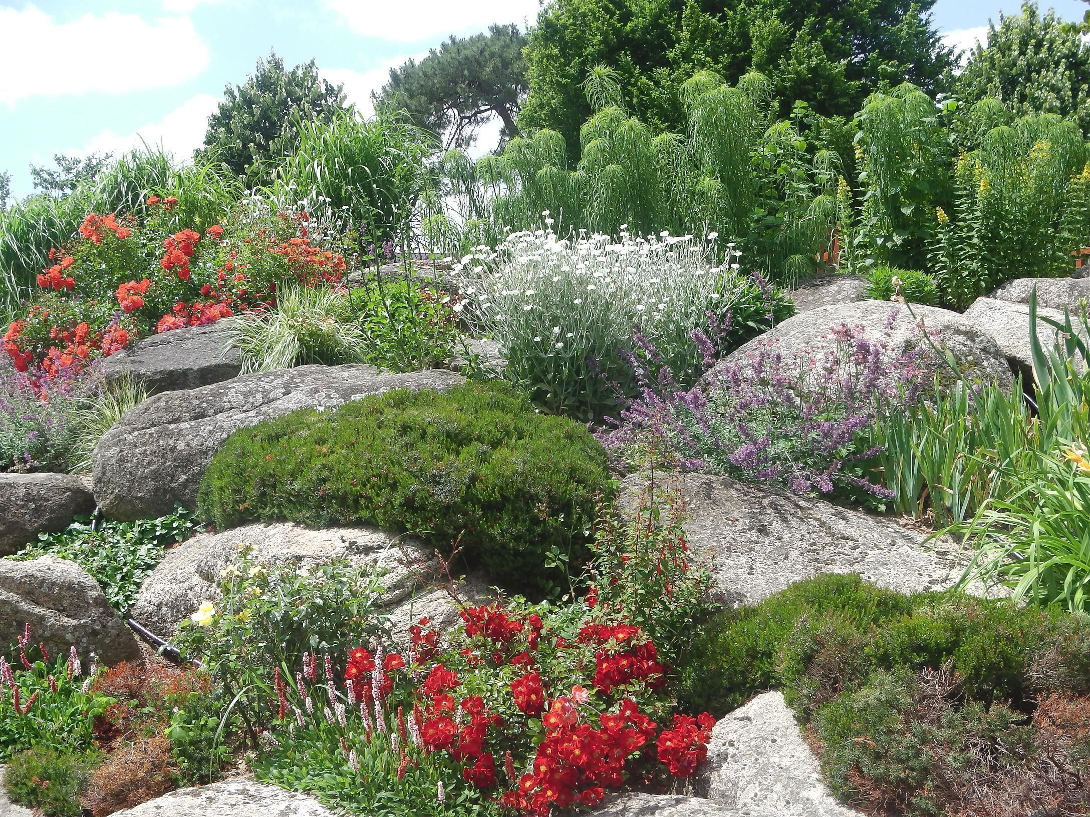 Jardin des Plantes à Saint Nazaire * Loire Atlantique