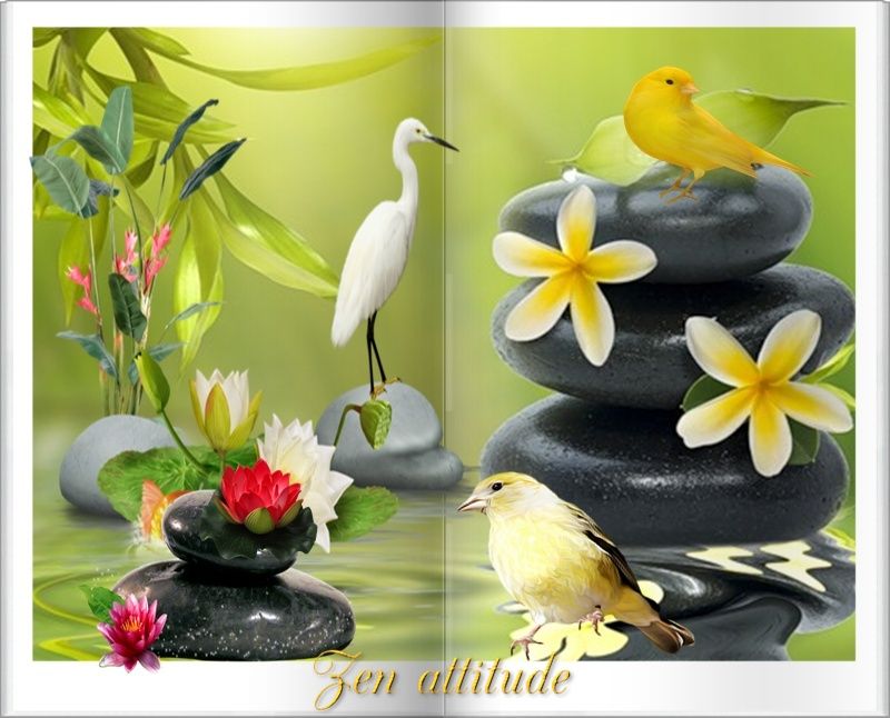 Comment accéder à la zen attitude