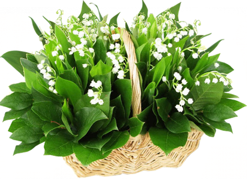 panier_de_muguet