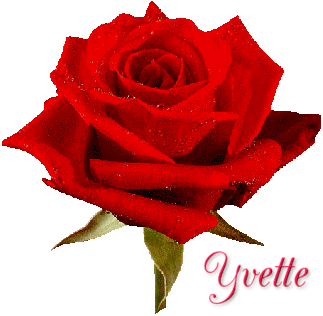 yvette_10.gif